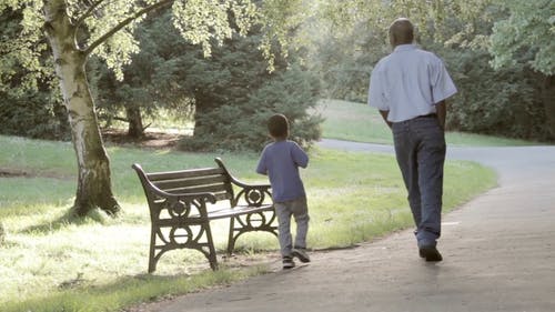 人们在公园散步 · 免费素材视频
