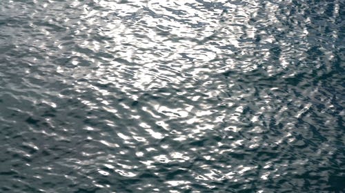 小波浪和涟漪的水 · 免费素材视频