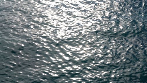 小波浪和涟漪的水 · 免费素材视频