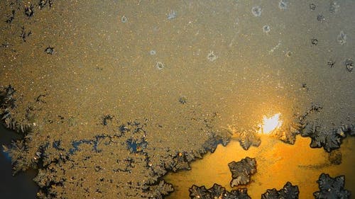 弗罗斯特在玻璃上的剪影 · 免费素材视频