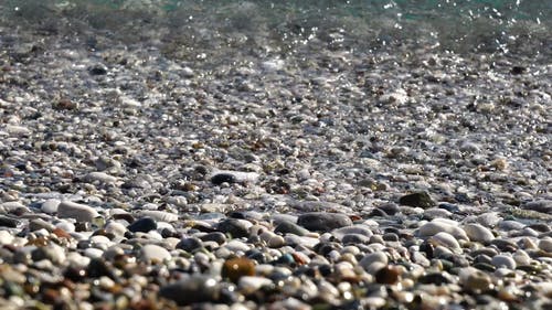 海滩与清澈的水 · 免费素材视频
