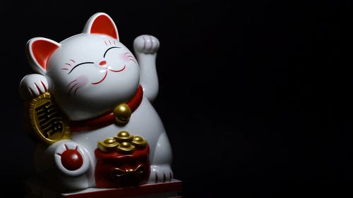 幸运猫 · 免费素材视频