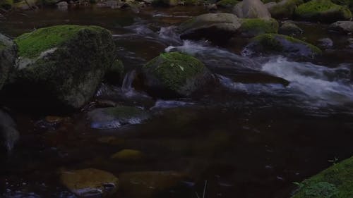 长满苔藓的岩石在河上 · 免费素材视频