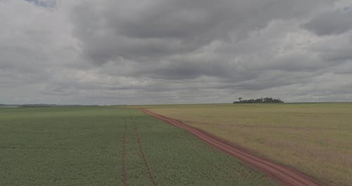 白云下的农业用地 · 免费素材视频