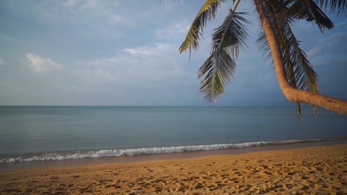 海滩风景 · 免费素材视频