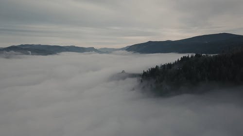 有雾的风景 · 免费素材视频