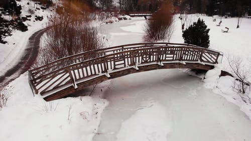 白雪覆盖的公园 · 免费素材视频