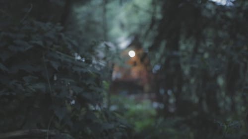 树林中间的房子 · 免费素材视频