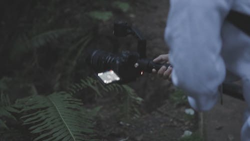 男人以植物的视频 · 免费素材视频