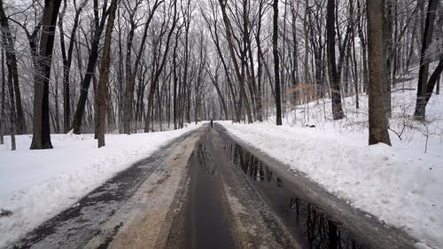 积雪覆盖的树林之间的湿路 · 免费素材视频