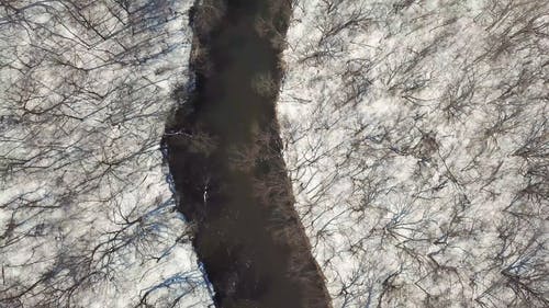 一条河和树林在冬天的鸟瞰图 · 免费素材视频