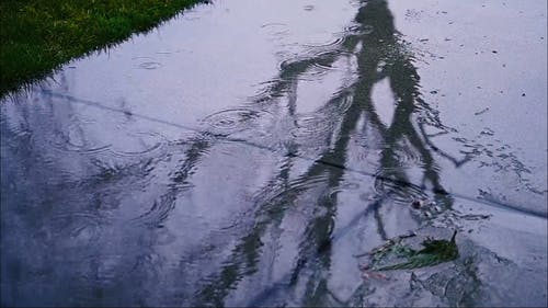 下雨天 · 免费素材视频