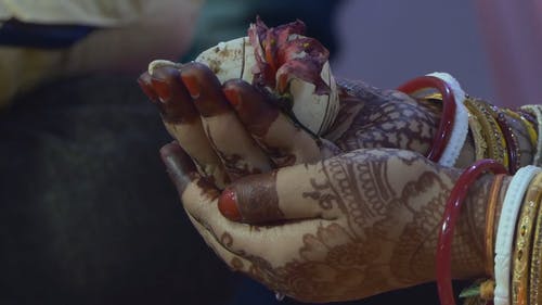 印度婚礼仪式 · 免费素材视频