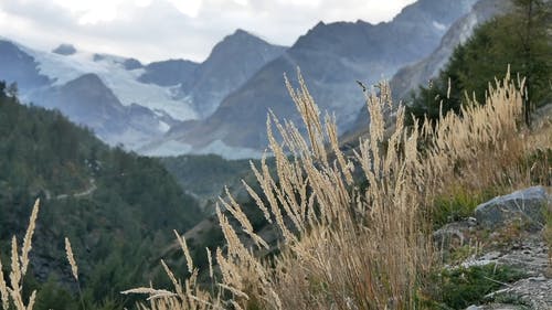 美丽的风景 · 免费素材视频