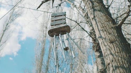 风铃挂在一棵树上 · 免费素材视频