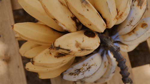 一簇成熟的香蕉 · 免费素材视频