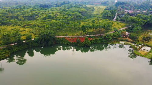 湖泊和森林的无人机画面 · 免费素材视频