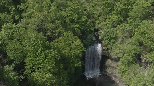在森林中间的瀑布 · 免费素材视频