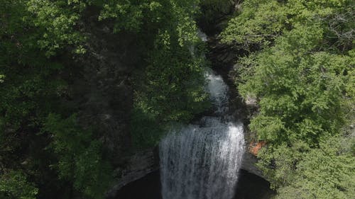 树木环绕的瀑布 · 免费素材视频