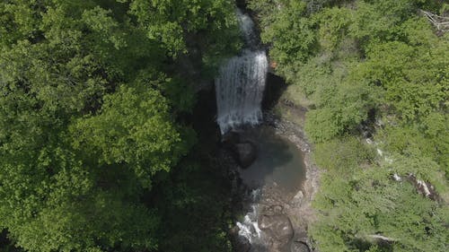 在森林里的瀑布 · 免费素材视频