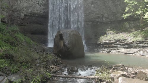 在树林里的瀑布 · 免费素材视频