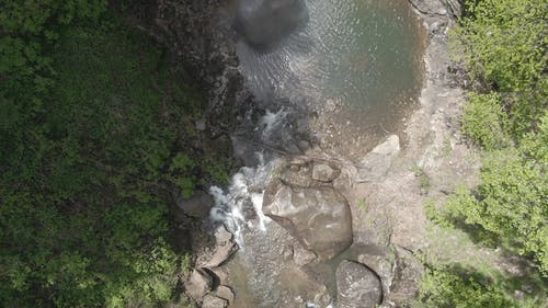 森林里的瀑布 · 免费素材视频