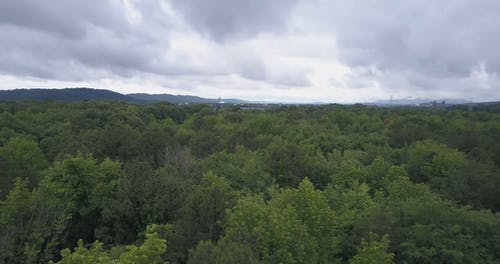 在树林里的栅栏建筑的航拍画面 · 免费素材视频