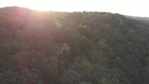 山区森林的无人机画面 · 免费素材视频