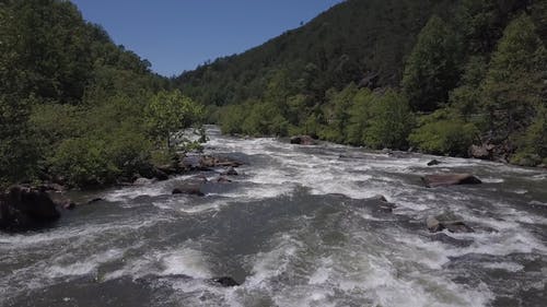 在皮划艇穿越河流急流的人 · 免费素材视频