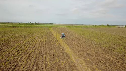 一个人用拖拉机耕田 · 免费素材视频