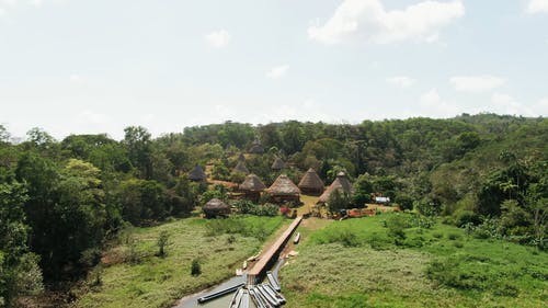 在许多森林中建造的传统小屋 · 免费素材视频