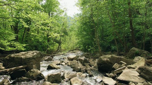 一条浅河流过一块岩石 · 免费素材视频