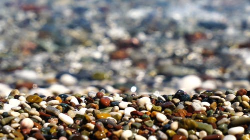 岸边的鹅卵石 · 免费素材视频