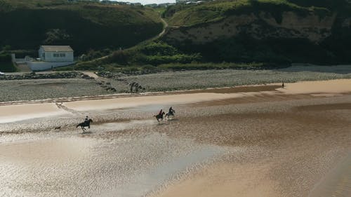 男子在海边享受骑马的航拍 · 免费素材视频
