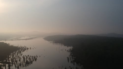 画面湿地沼泽 · 免费素材视频