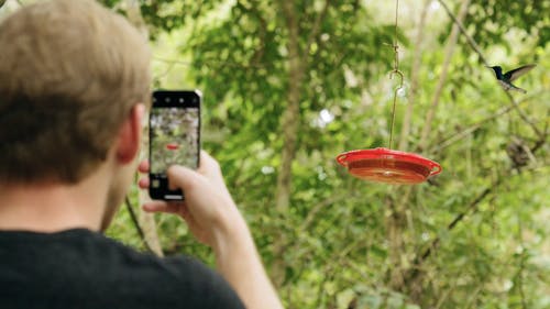 一个人在喂食时拍蜂鸟的照片的慢动作镜头 · 免费素材视频