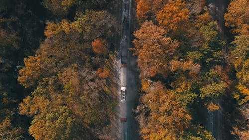 一列火车穿过树林充满了秋天的落叶与树木的航拍 · 免费素材视频