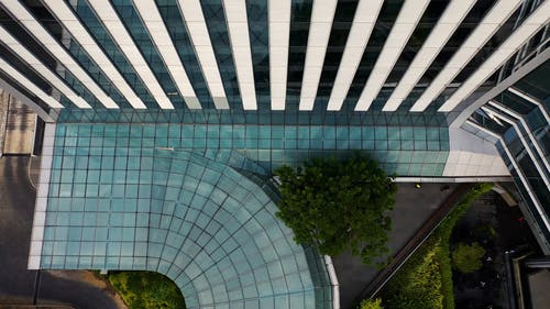 带有玻璃窗的建筑物 · 免费素材视频