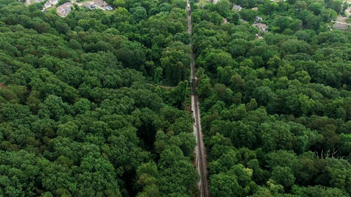 无人机镜头的城市森林 · 免费素材视频