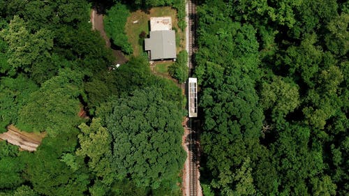 慢速列车穿越森林 · 免费素材视频