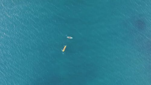 一对皮划艇在海上 · 免费素材视频