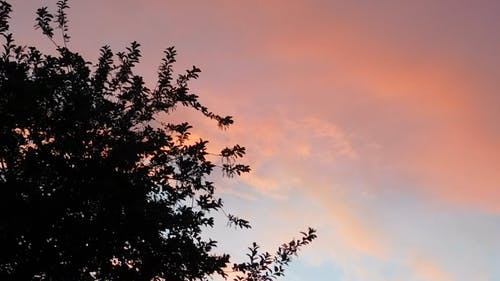 天空的柔和色彩外观 · 免费素材视频