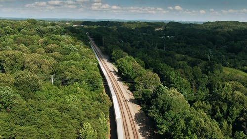 树林中的铁路 · 免费素材视频