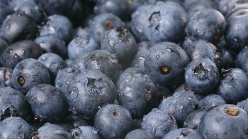 蓝莓用水洗的特写视图 · 免费素材视频