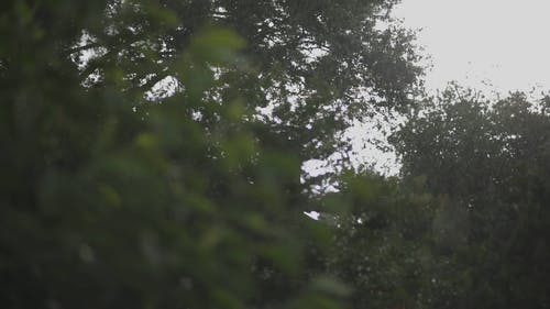 从倾盆大雨的窗户看下来的景色 · 免费素材视频