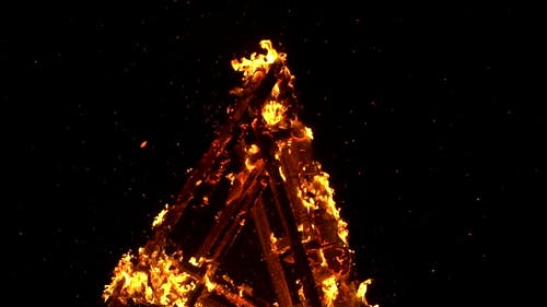 燃烧的木头 · 免费素材视频