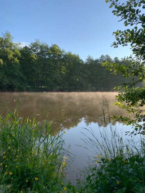 覆盖湖面的薄雾 · 免费素材视频