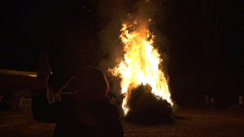 录制篝火 · 免费素材视频