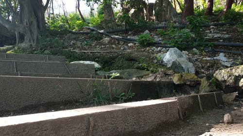 在楼梯一侧的水流 · 免费素材视频