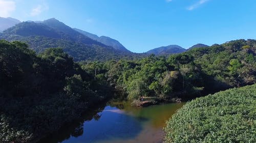 森林景观鸟瞰图 · 免费素材视频